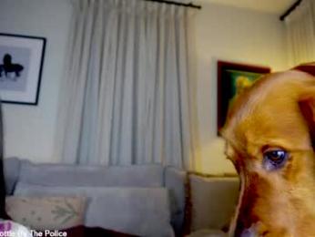 x_lily_x — Chaturbate recorded stream screenshot (31 Mar 2026)