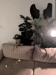 LaureMestler — Stripchat recorded stream image, 01.04.2026 08:20