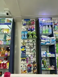 roouse — Stripchat recorded stream screenshot (03 Apr 2026)