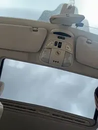 DollyTall — Stripchat recorded stream screenshot (05 Apr 2026)