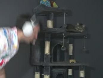 sydaffect — Chaturbate recorded stream screenshot (06 Apr 2026)