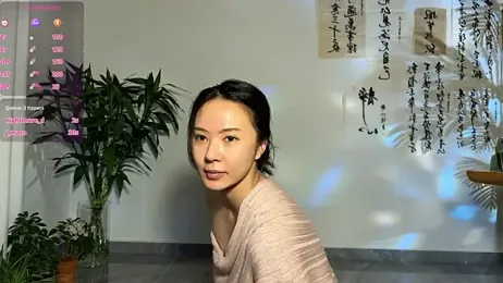 meowLili — Stripchat recorded stream image, 08.04.2026 06:00