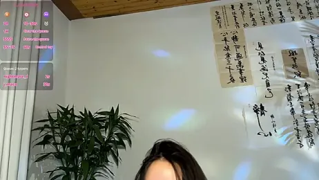 meowLili — Stripchat recorded stream image, 08.04.2026 06:00