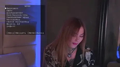 AriWild — Stripchat recorded stream image, 11.04.2026 04:40