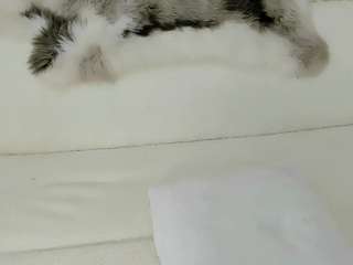 maryelle — Camsoda recorded stream image, 14.04.2026 19:40