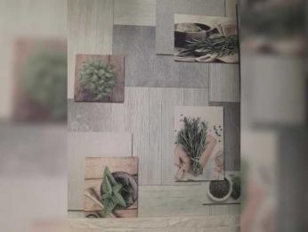 Anesteishen — Bongacams recorded stream image, 15.04.2026 03:10