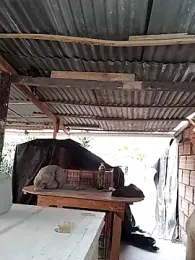 hoteder — Stripchat recorded stream image, 15.04.2026 12:10