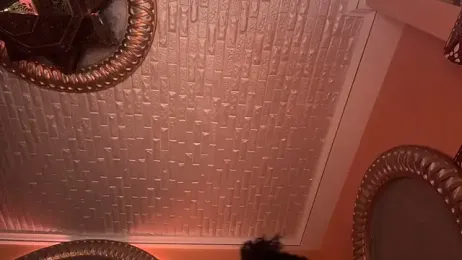 ORLA86 — Stripchat recorded stream image, 08.03.2025 19:50