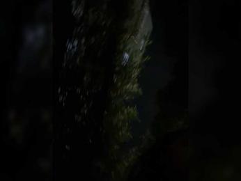 SallyeLeins — Bongacams recorded stream image, 25.04.2026 21:10