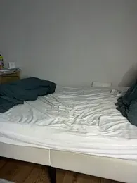 stylesexy — Stripchat recorded stream image, 02.05.2026 03:50