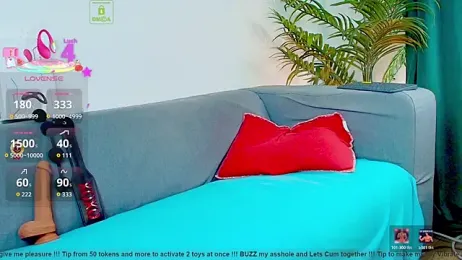 Stefan977 — Stripchat recorded stream image, 08.05.2026 20:10