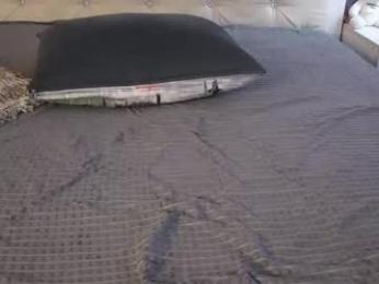 freyabyrne — Chaturbate recorded stream image, 15.05.2026 05:40