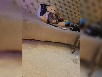 _Darina_Andreevna_ — Bongacams recorded stream image, 22.05.2026 21:00