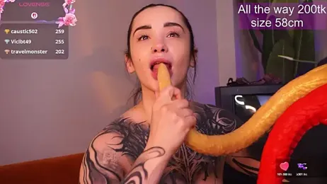 EvaCanton — Stripchat recorded stream image, 25.05.2026 01:50