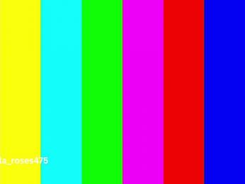 LilaRosie — Bongacams recorded stream image, 28.05.2026 04:00