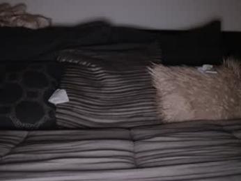 bigdicktrannynicole — Chaturbate recorded stream image, 21.06.2026 02:10
