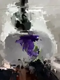 TavoHot_ — Stripchat recorded stream image, 23.06.2026 18:30