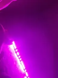 Boysex227 — Stripchat recorded stream image, 26.06.2026 17:10