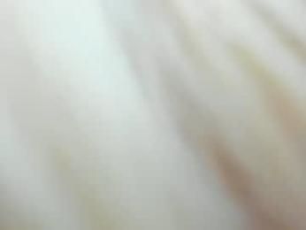sassyt33n — Chaturbate recorded stream image, 02.07.2026 07:20