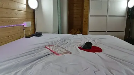 wild41 — Stripchat recorded stream image, 11.07.2026 03:00