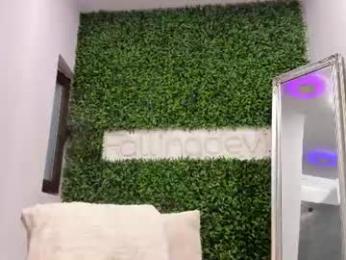 hotfallingdevil — Chaturbate recorded stream image, 11.07.2026 03:30