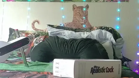 fatfabulous1981 — Stripchat recorded stream image, 11.07.2026 22:20