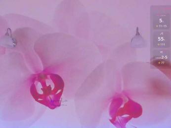 _AfterDark_ — Bongacams recorded stream image, 11.03.2025 22:50
