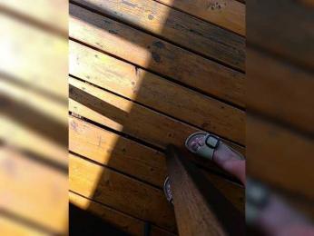 Angelia22 — Bongacams recorded stream image, 22.07.2026 06:40