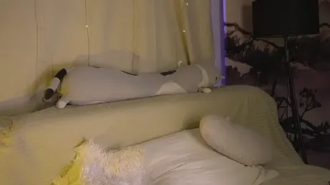 AnnyBangs — Stripchat recorded stream image, 04.08.2026 06:30