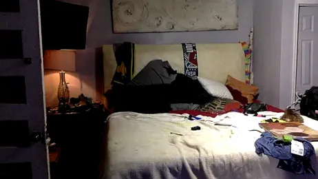 trash4cash — Stripchat recorded stream image, 06.08.2026 20:20
