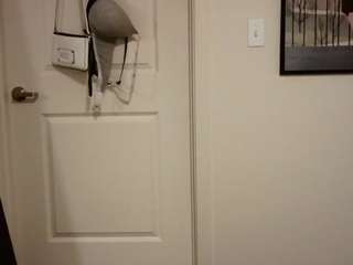bigbootybullynisha — Camsoda recorded stream image, 14.08.2026 01:10