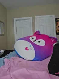 AmethystFoxx — Stripchat recorded stream image, 24.08.2026 13:00