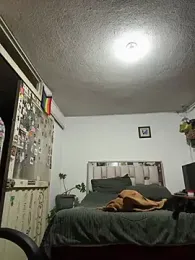 playfulboys_ — Stripchat recorded stream image, 27.08.2026 06:20