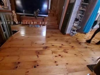 TNT-TinyNTroubble69 — Bongacams recorded stream image, 29.08.2026 03:40