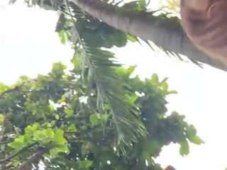 cheerrybomb — Camsoda recorded stream image, 15.03.2025 20:10