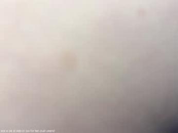 honey_sunshine — Chaturbate recorded stream image, 20.03.2025 08:40