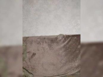 JennyDooley — Bongacams recorded stream image, 06.04.2025 21:30