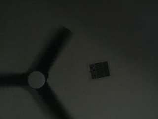 misszylahd — Camsoda recorded stream screenshot (10 Apr 2025)