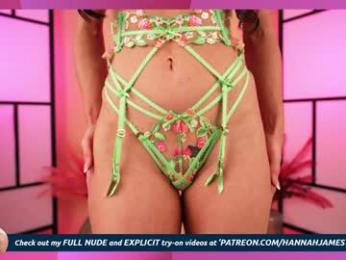 hannahjames710 — Chaturbate recorded stream image, 05.02.2025 16:30