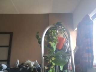 stalliontheesavage — Camsoda recorded stream screenshot (22 Apr 2025)