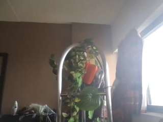 stalliontheesavage — Camsoda recorded stream screenshot (22 Apr 2025)