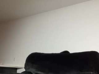 carmensindiego — Camsoda recorded stream image, 23.04.2025 17:00