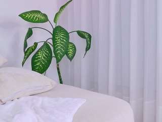 kali-hill — Camsoda recorded stream image, 04.05.2025 08:10