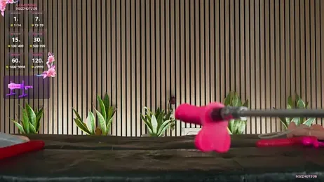 NiceHotJob — Stripchat recorded stream screenshot (05 May 2025)