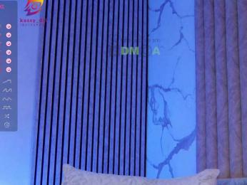 Kassablanca — Bongacams recorded stream image, 11.05.2025 20:00